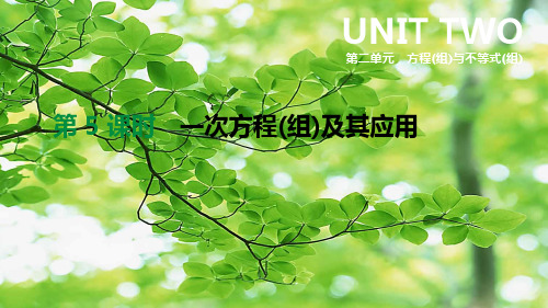 中考数学总复习 第二单元 方程(组)与不等式(组)第05课时 一次方程(组)及其应用课件