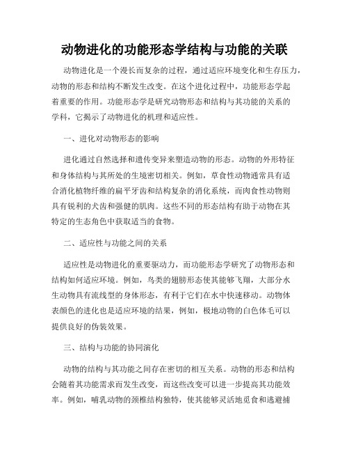 动物进化的功能形态学结构与功能的关联