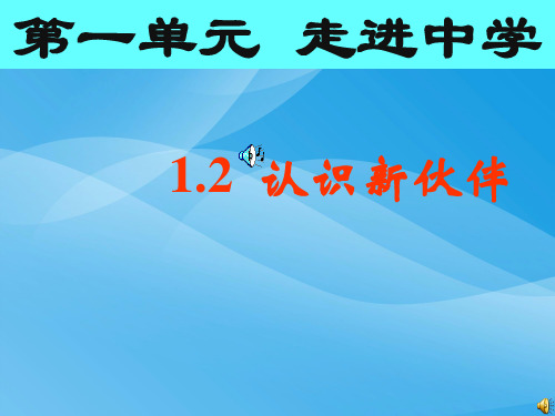 认识新伙伴ppt优秀课件2 粤教版