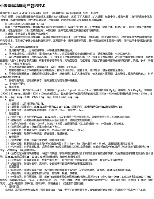 小麦宽幅精播高产栽培技术