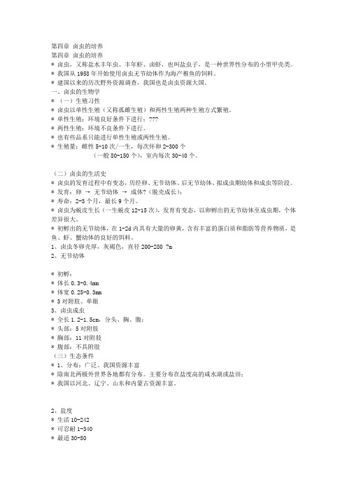卤虫培养