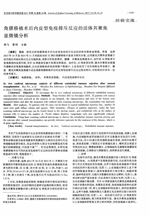 角膜移植术后内皮型免疫排斥反应的活体共聚焦显微镜分析