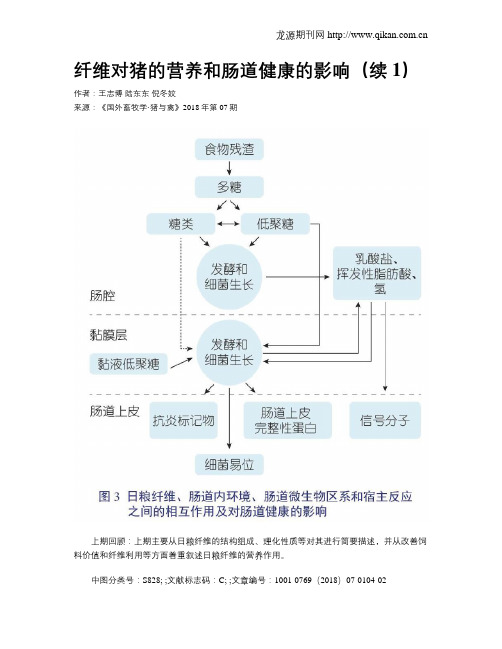 纤维对猪的营养和肠道健康的影响(续1)