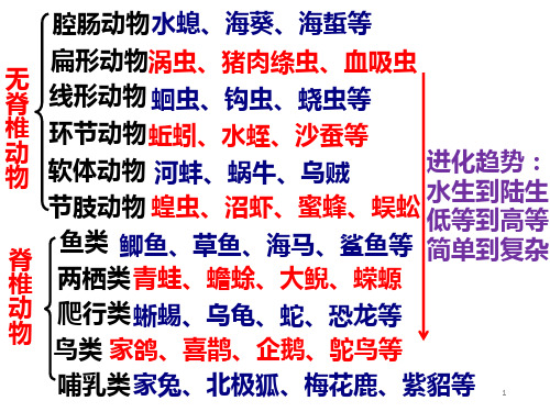 1-4-10我国的珍稀动物课件冀少版七年级上册生物
