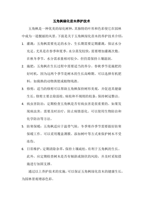 五角枫绿化苗木养护技术