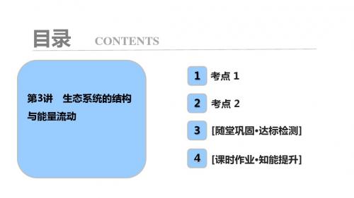 高考生物大一轮复习第九单元生物与环境第3讲生态系统的结构与能量流动课件