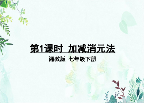 部编湘教版七年级数学下册优质课件 第1课时 加减消元法 (2)