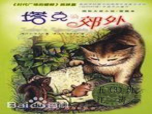 塔克的郊外