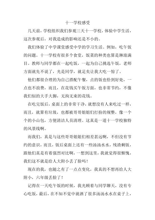 十一学校感受