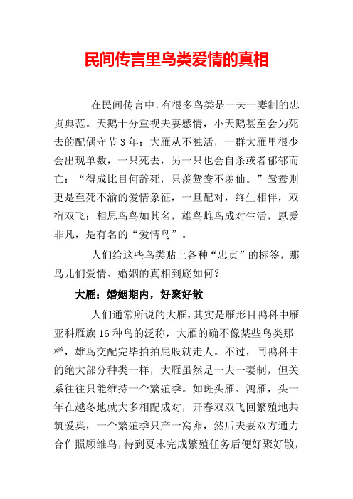 民间传言里鸟类爱情的真相