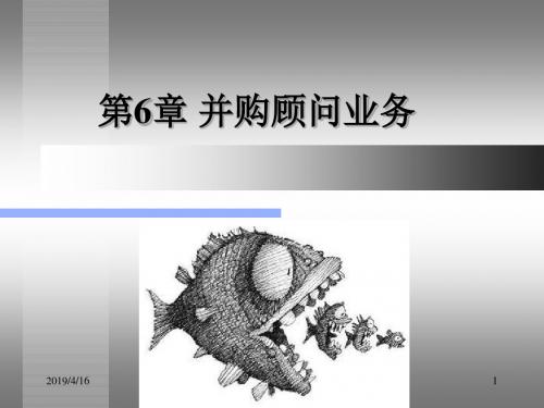 投资银行学6并购顾问(2)ppt课件