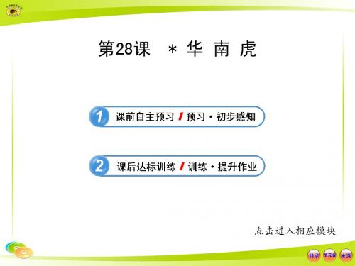 人教版七年级语文下册 《华南虎》ppt