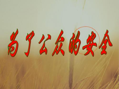 品德与社会课件-为了公众的安全 精品