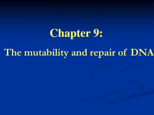 《分子生物学》4 chapter9 共43页PPT资料