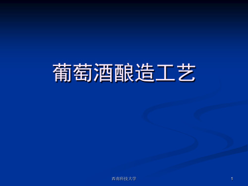 葡萄酒酿造工艺培训课件.pptx