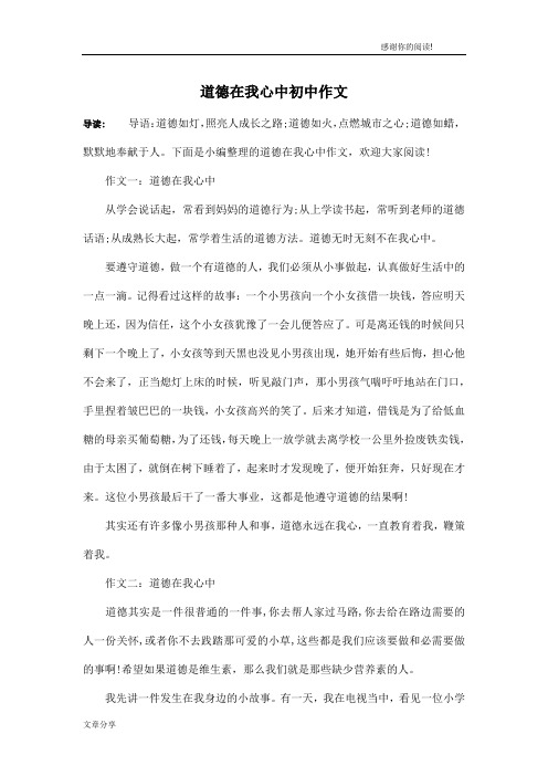 道德在我心中初中作文