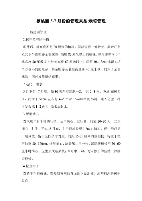 核桃园5-7月份的管理