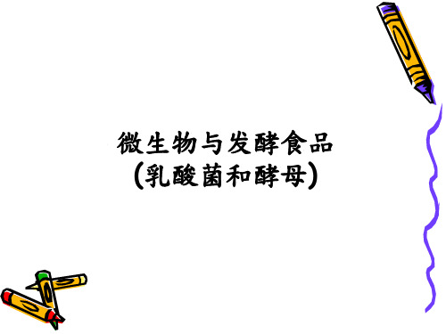 食品工艺学微生物与发酵食品PPT课件