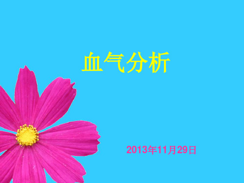 血气分析PPT课件