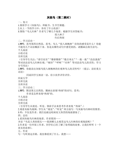 灰椋鸟第二课时