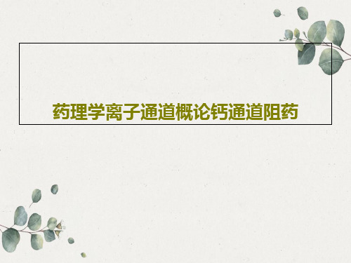 药理学离子通道概论钙通道阻药共28页