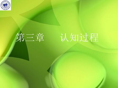 第三章认知过程