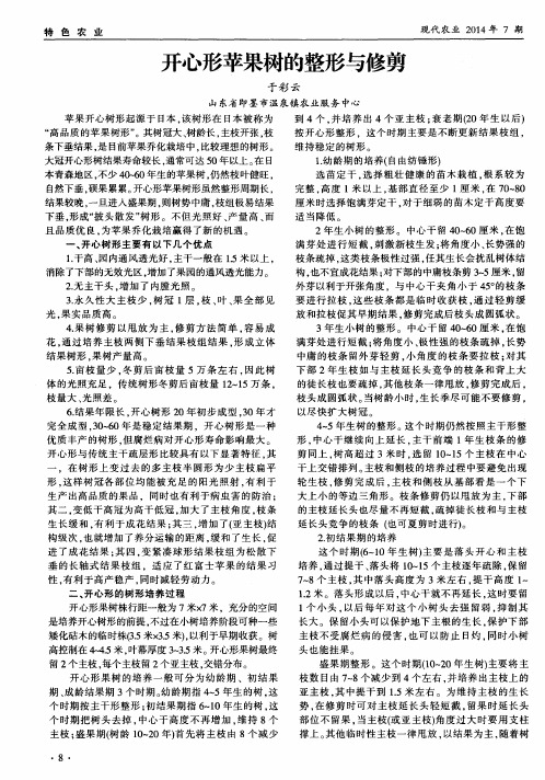 开心形苹果树的整形与修剪
