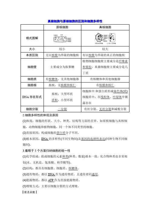真核细胞与原核细胞的区别和细胞多样性