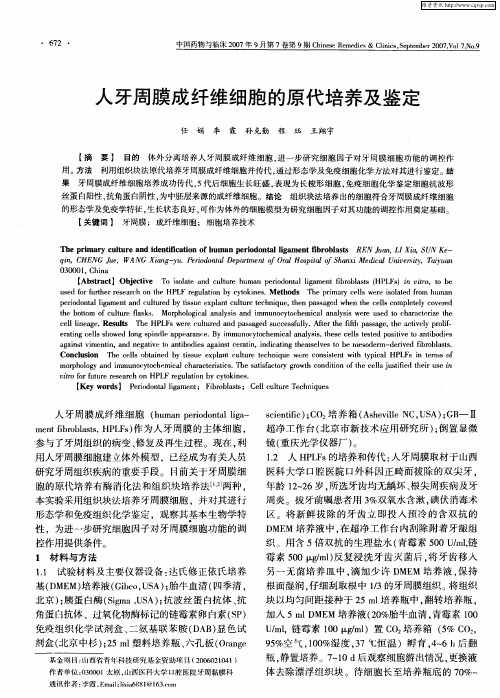 人牙周膜成纤维细胞的原代培养及鉴定
