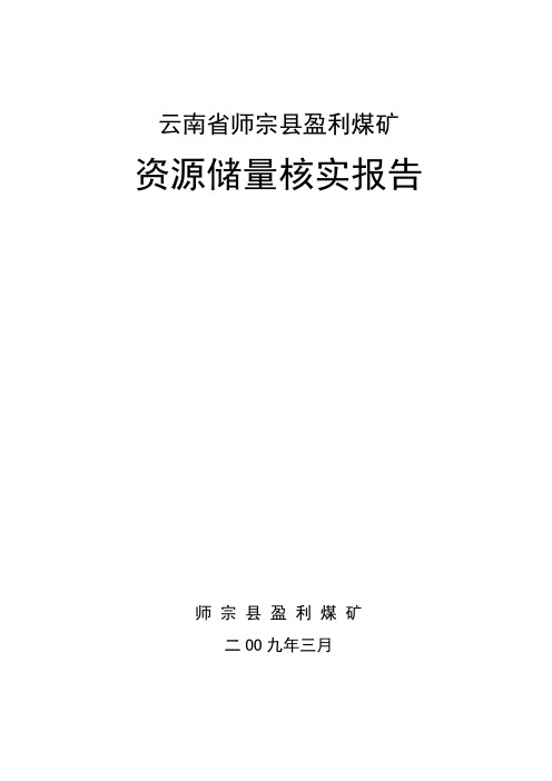 云南省师宗县盈利煤矿资源储量核实报告