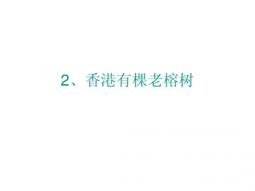 香港有棵老榕