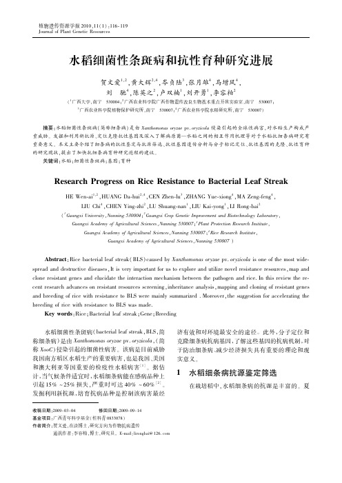 水稻细菌性条斑病和抗性育种研究进展