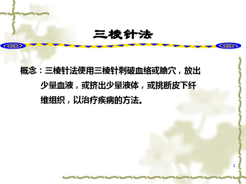 棱针法皮肤针法皮内针法电针穴位注射法