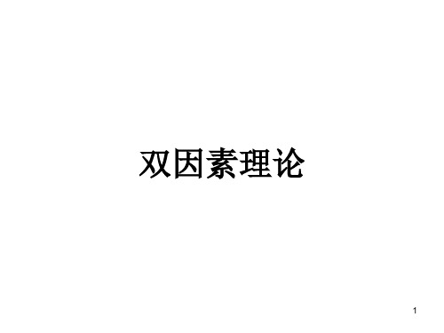 双因素理论PPT精选文档