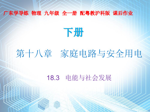 18.3  电能与社会发展—2020秋沪粤版九年级物理下册课件(共19张PPT)