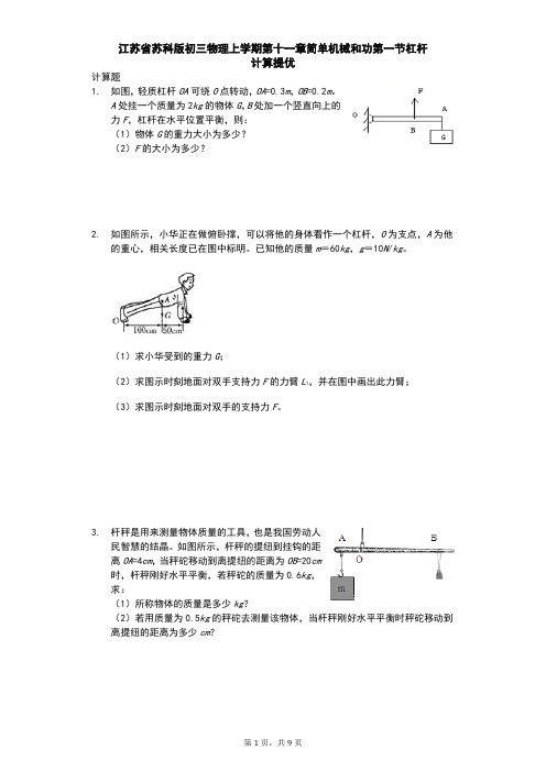 江苏省 苏科版 初三物理 上学期 第十一章 简单机械和功 第一节 杠杆 计算提优