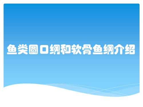 鱼类圆口纲和软骨鱼纲介绍