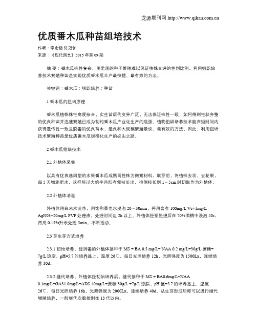 优质番木瓜种苗组培技术