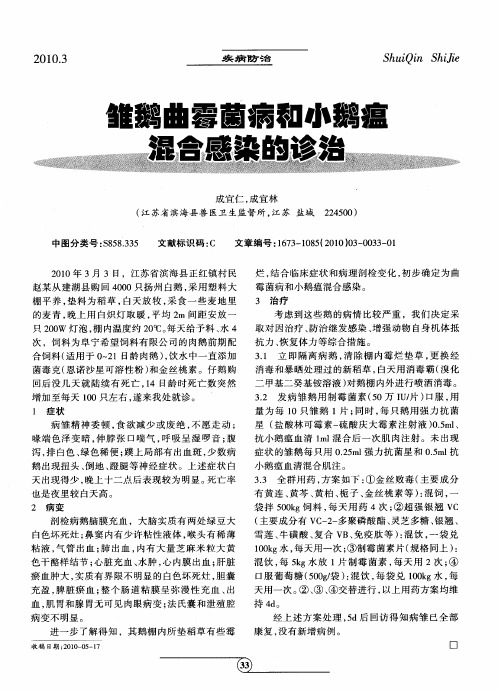 雏鹅曲霉菌病和小鹅瘟混合感染的诊治