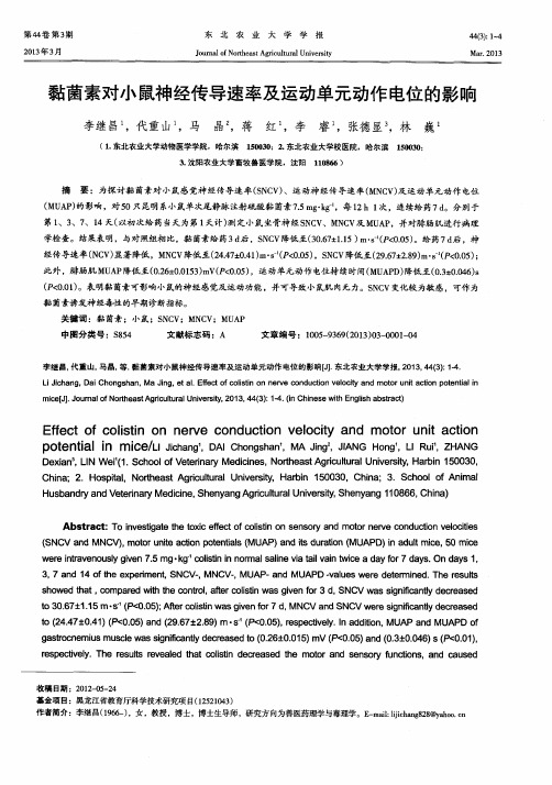 黏菌素对小鼠神经传导速率及运动单元动作电位的影响