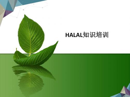 HALAL知识培训