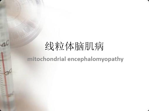 线粒体脑肌病