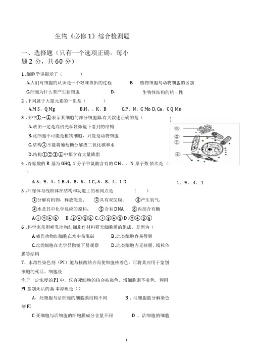 (word完整版)高中生物必修一综合测试题(附答案)(2)