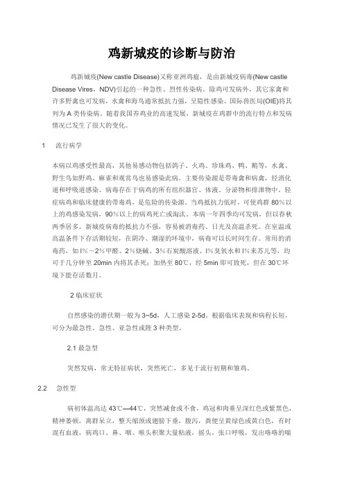 鸡新城疫的诊断与防治