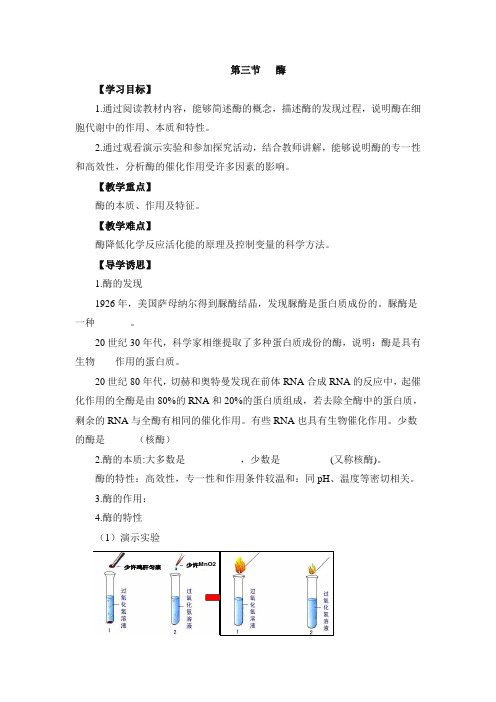 浙科版高中生物必修一《酶》导学案-新版