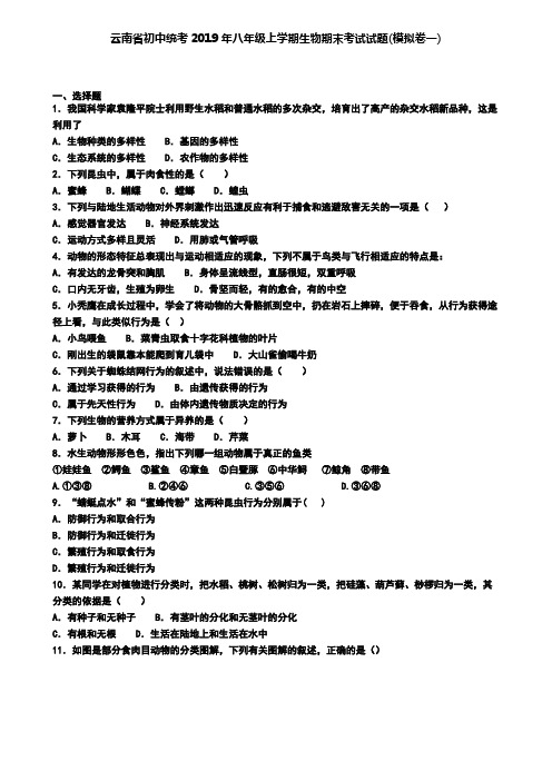 云南省初中统考2019年八年级上学期生物期末考试试题(模拟卷一).doc