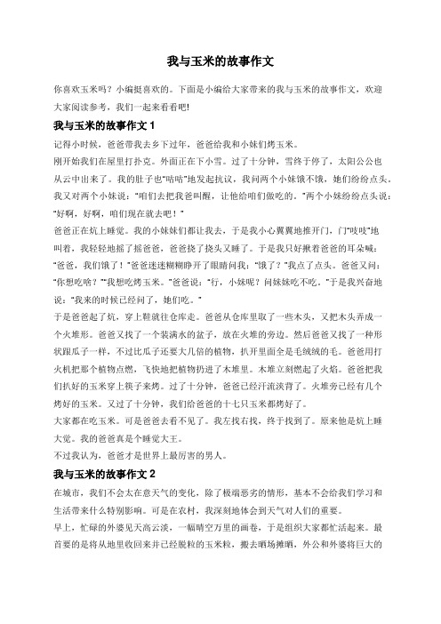 我与玉米的故事作文