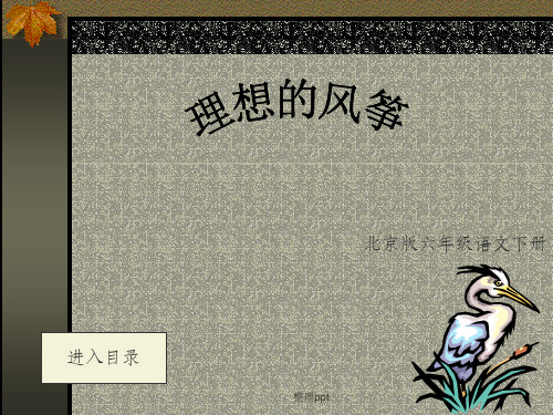 《理想的风筝》