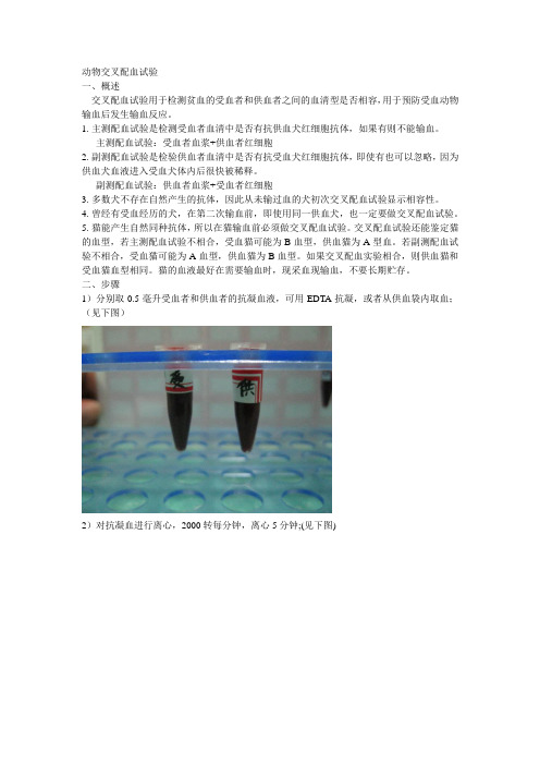 犬猫血液 输血的知识