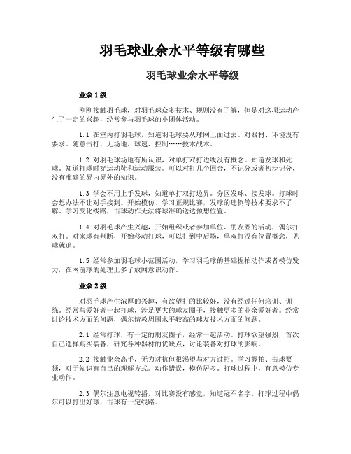 羽毛球业余水平等级有哪些